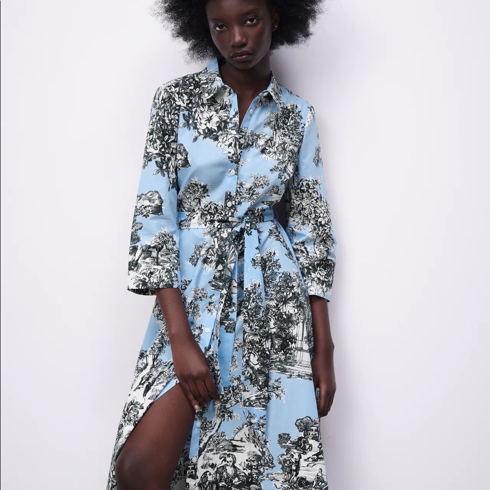 ZARA | Blue Floral Shirtdress